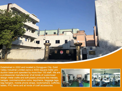 Gold Valley Industrial Limited y sus subsidiarios